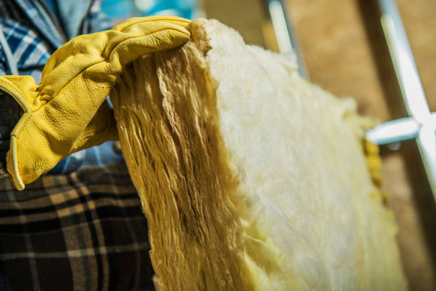 Best Commercial Insulation in Bridge City, TX